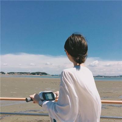 梦寻仙3d满v变态版下载